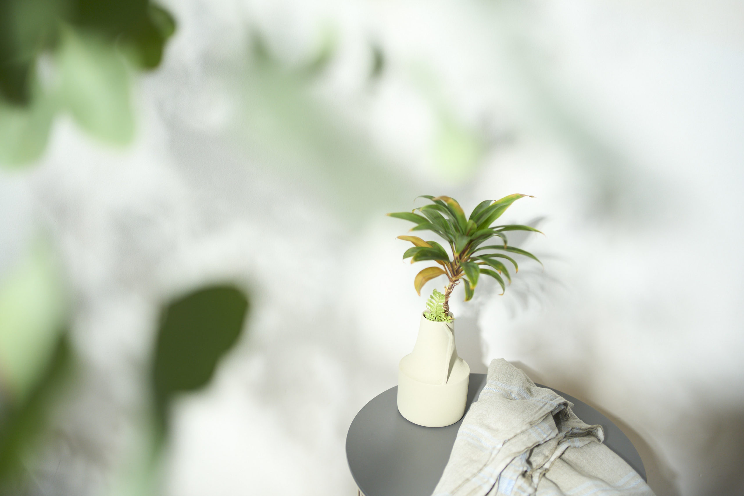 Photographer 撮影 ハウススタジオ オルライトスタジオ 作品撮り ライティング 無料 照明機材 NANLUX EVOKE 1200 Photographer 撮影 ハウススタジオ オルライトスタジオ 作品撮り ライティング 無料 照明機材 NANLUX EVOKE 1200