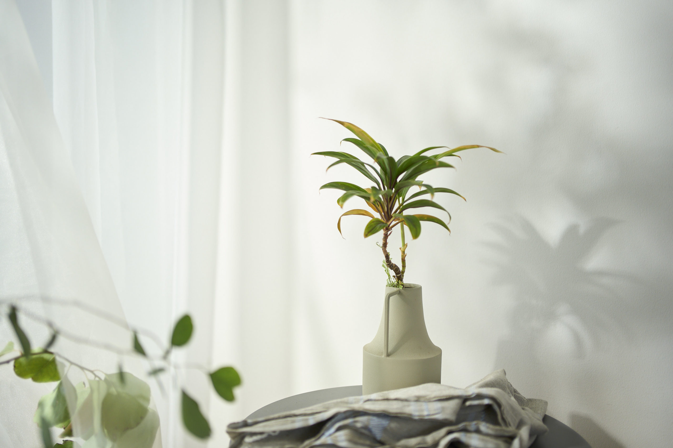 Photographer 撮影 ハウススタジオ オルライトスタジオ 作品撮り ライティング 無料 照明機材 NANLUX EVOKE 1200 Photographer 撮影 ハウススタジオ オルライトスタジオ 作品撮り ライティング 無料 照明機材 NANLUX EVOKE 1200