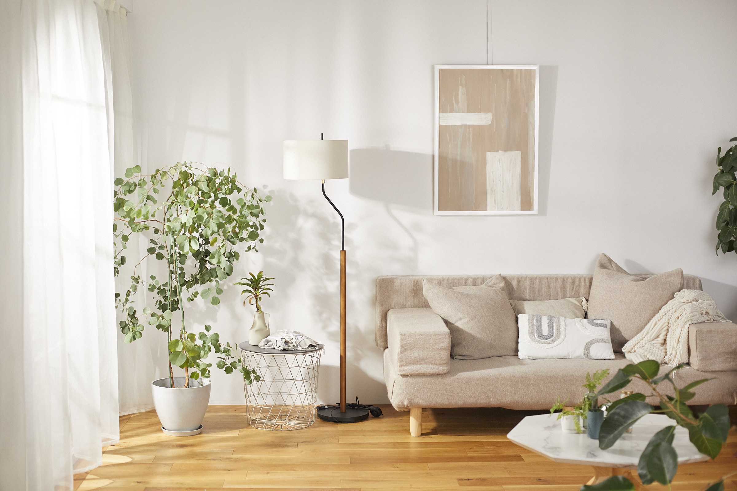 Photographer 撮影　 ハウススタジオ　オルライトスタジオ　作品撮り　ライティング　無料　照明機材　NANLUX EVOKE 1200　NANLITE Forza 720B